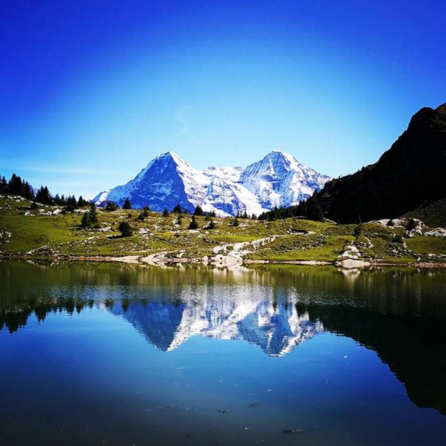 Swisshut Stunning Views Alps Lake - Chalet Erli Därligen エクステリア 写真