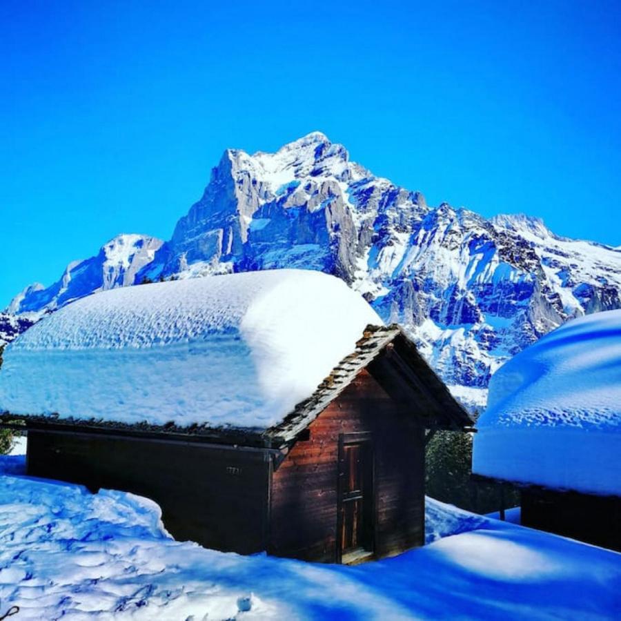 Swisshut Stunning Views Alps Lake - Chalet Erli Därligen エクステリア 写真