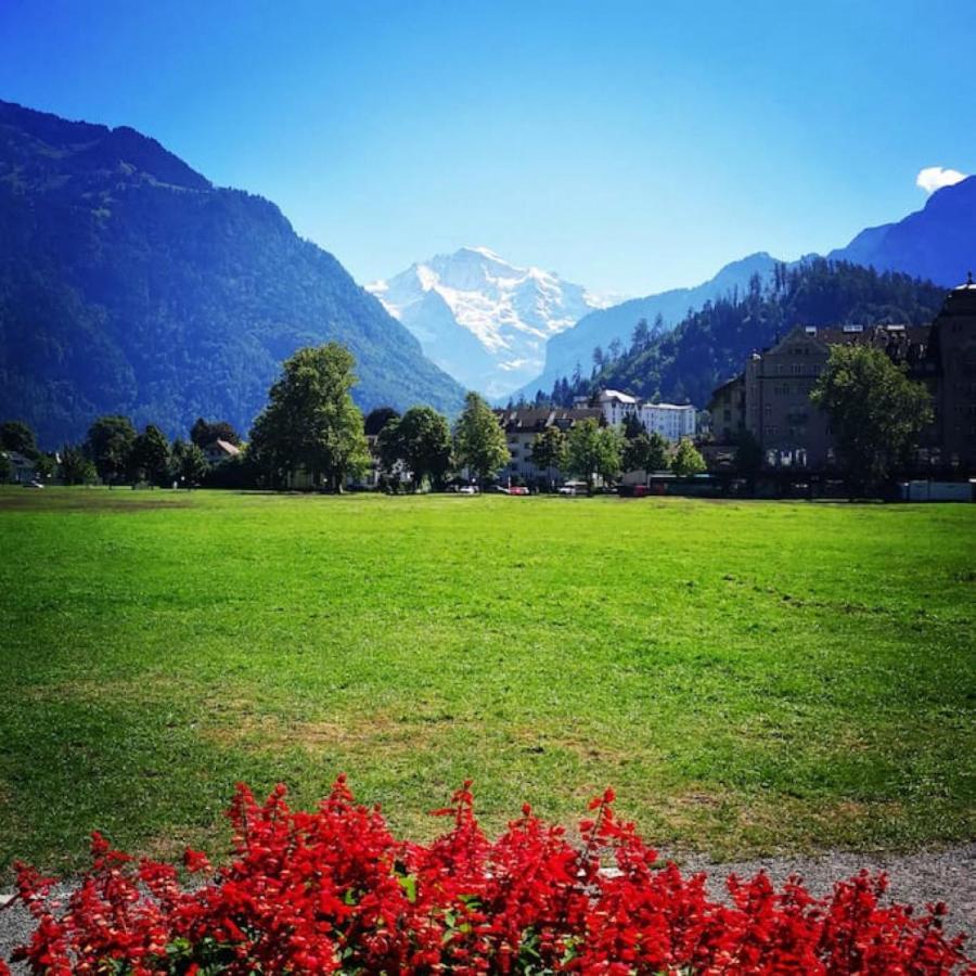 Swisshut Stunning Views Alps Lake - Chalet Erli Därligen エクステリア 写真